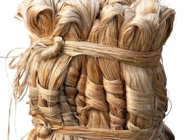 Raw Jute for Export — Bangladesh Origin