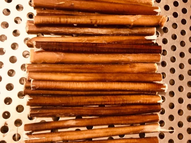 Dried Beef Pizzle Sticks — Pet Treats