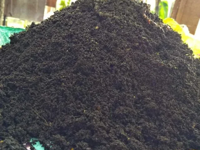 Vermicompost