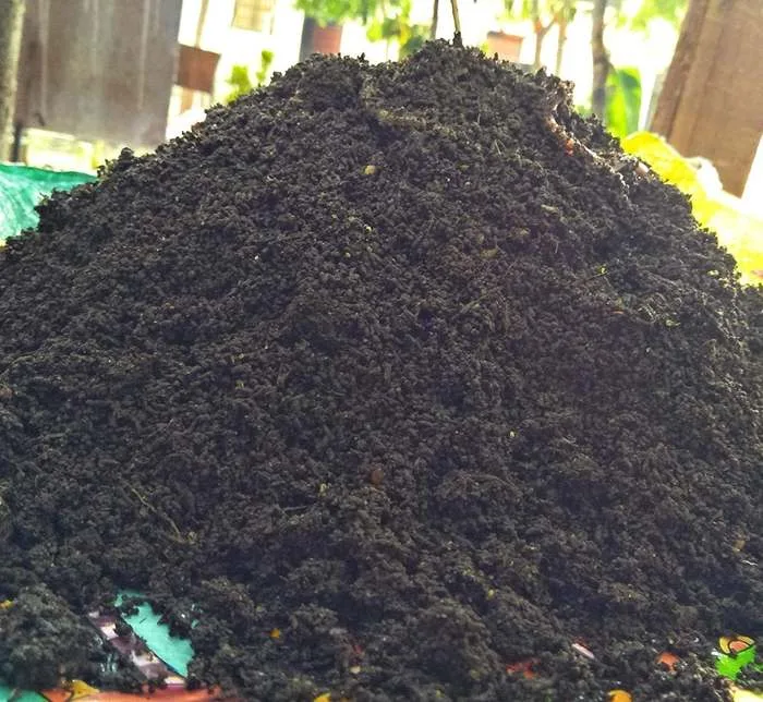 Vermicompost