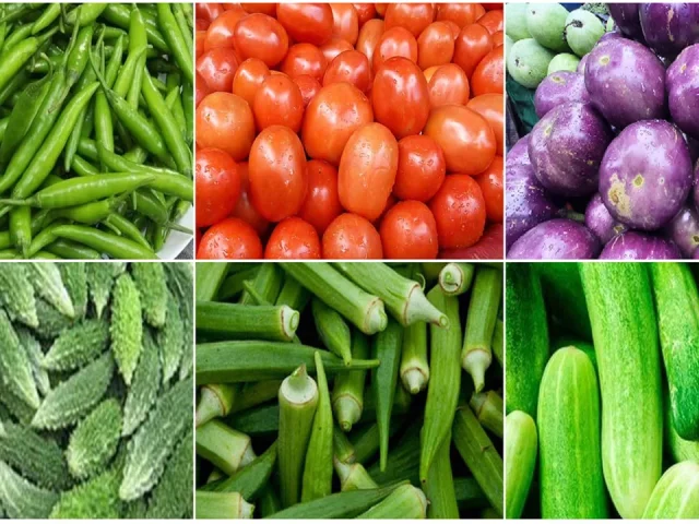 Fresh Vegetables